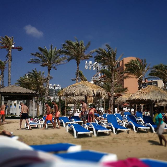 Orange for a swim -  ichalhoub in  Batroun north  Lebanon / ...