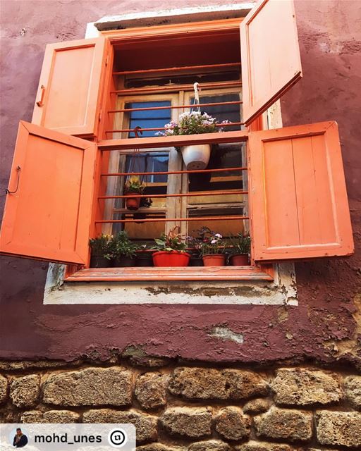 " orangewindow  oldstonehouse  oldwall  tyre  oldcity  flowerboxes  sour ...