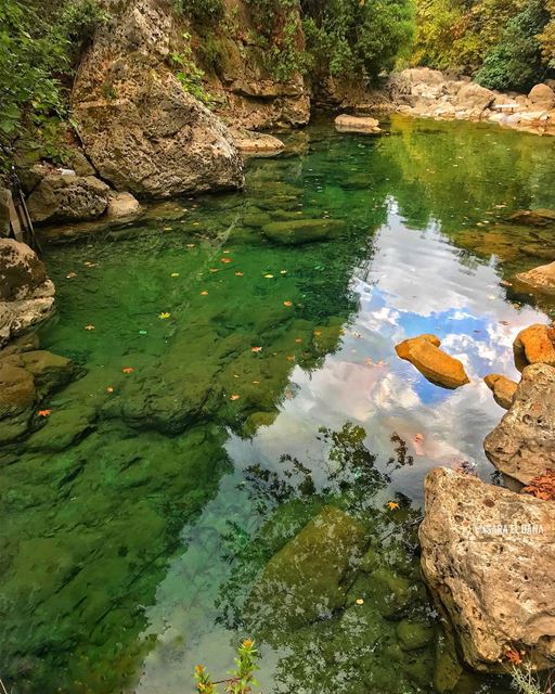 Ordinary life does not interest me 🌴💦 (Yahshush, Mont-Liban, Lebanon)