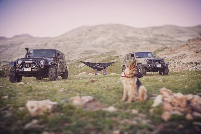 Osas! 🗻Photo credit to @elie_daccache  wrangler  wranglerlove  logan ... (Jord Sannîne)