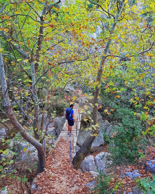 Our Autumn hikes are here🍁⚠️ Join us to Jabal Moussa this Sunday (read... (Jabal Moûssi)