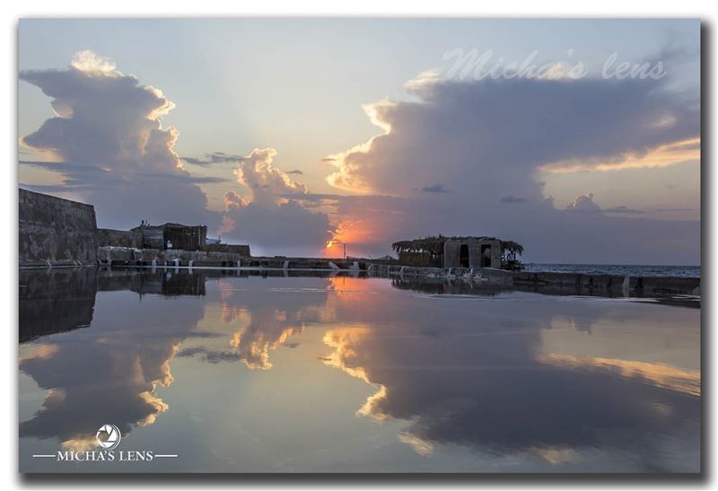 Our language is the reflection of ourselves. A language is an exact...