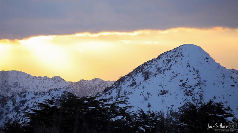 Our lives are not determined by what happens to us but by how we react to... (Tannourine Cedars Nature Reserve)