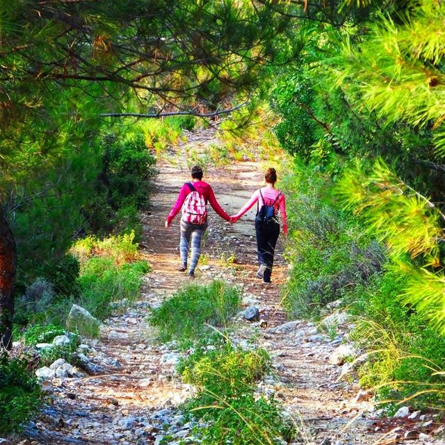 Our perfect companions never have fewer than four feet 🌲 hikinglebanon ...