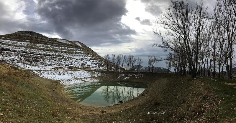 Our planet 🌲🍄❄️🏔 (El Laqloûq, Mont-Liban, Lebanon)