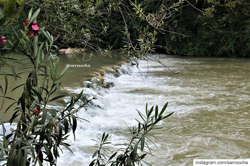 Our southern beauty 🍃🍀🌿  takenbyme  ptk_Lebanon  visitlebanon ... (في قعقعية الجسر)