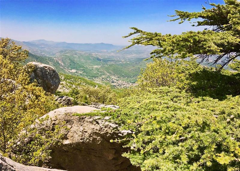 Our target (Maasser El Shouf village) as seen from Lamartine cedar! مشوار م (Arz el Maasser)