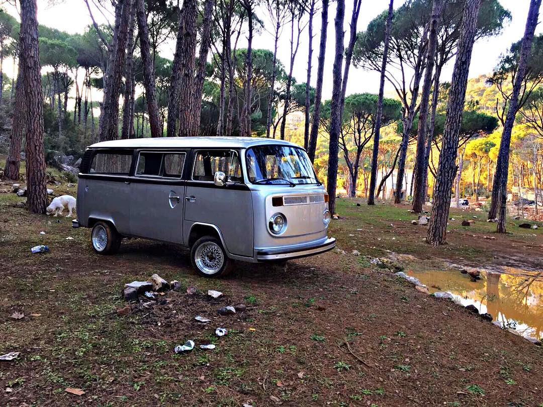 Out for a ride in the woods 🏞 Aircooledmafialb aircooled_society vwlife... (Balaa, Tannourine)