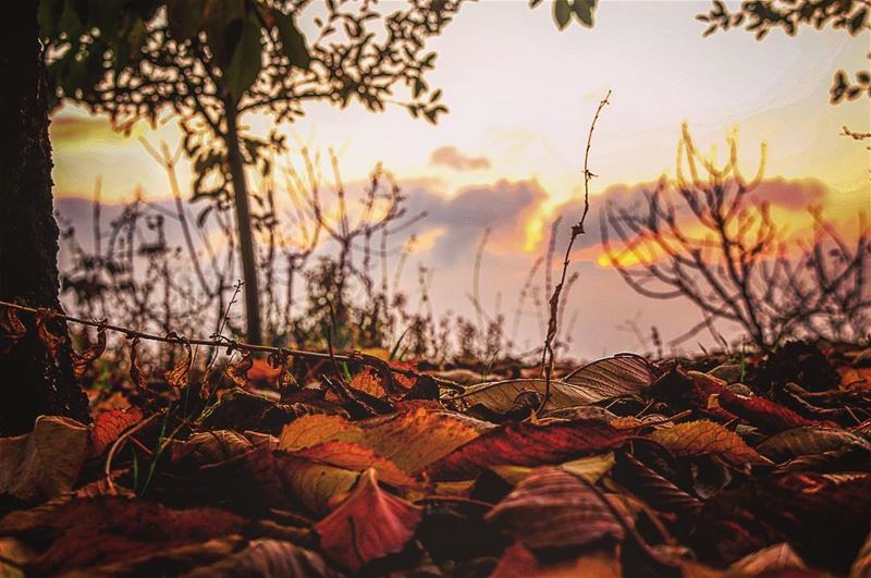 Out of focus...  lebanon  sunset  mountains  scenery  sunsets ...