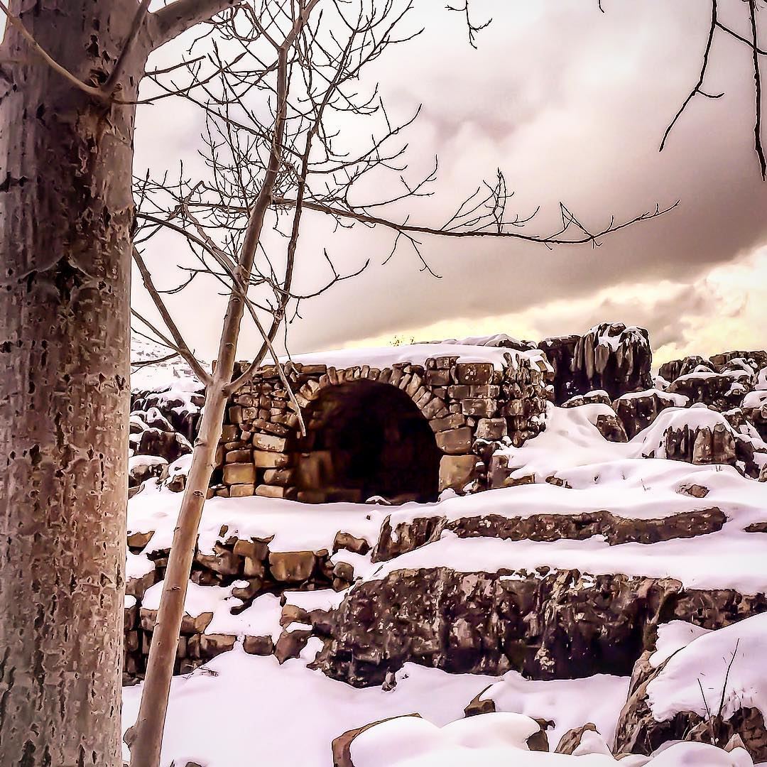 Out of this world  ig_mood  winterwonderland  tree  ruins  snow  landscape...