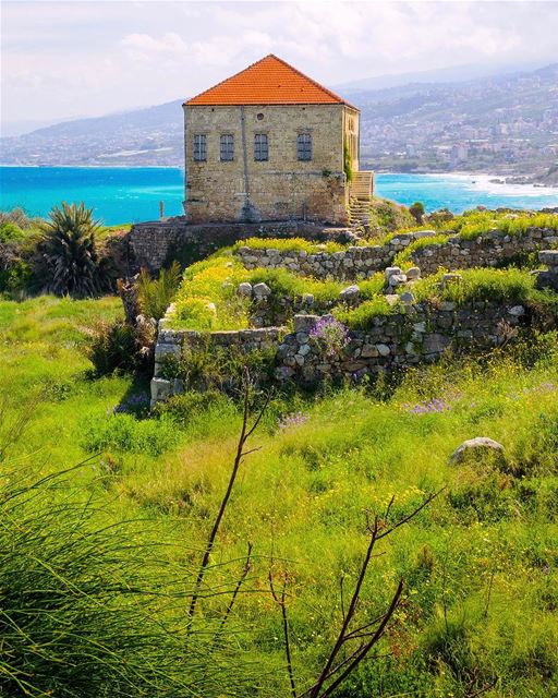 Outra antiga e típica casa libanesa, em Byblos 🇱🇧 Another old and... (Ruins of Byblos)