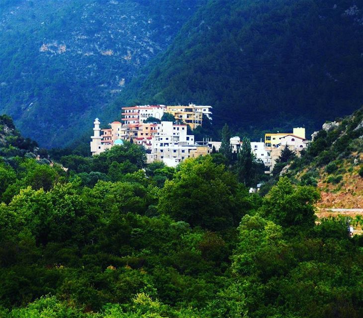  ouyounelsamak  ouyounalsamak  north lebanon nature livelovelebanon ... (3youn el Samak)