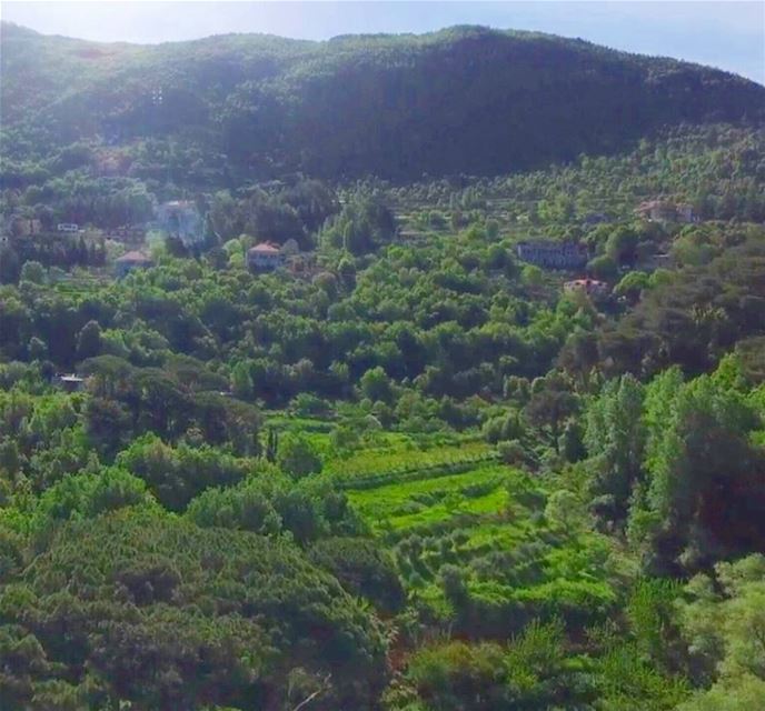 Over the  mountains and through the  woods ...... (Deir El Harf)
