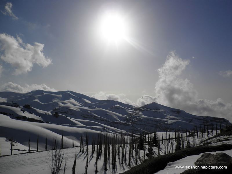 Oyoun el Siman and Refuge Piste (Winter 2011)