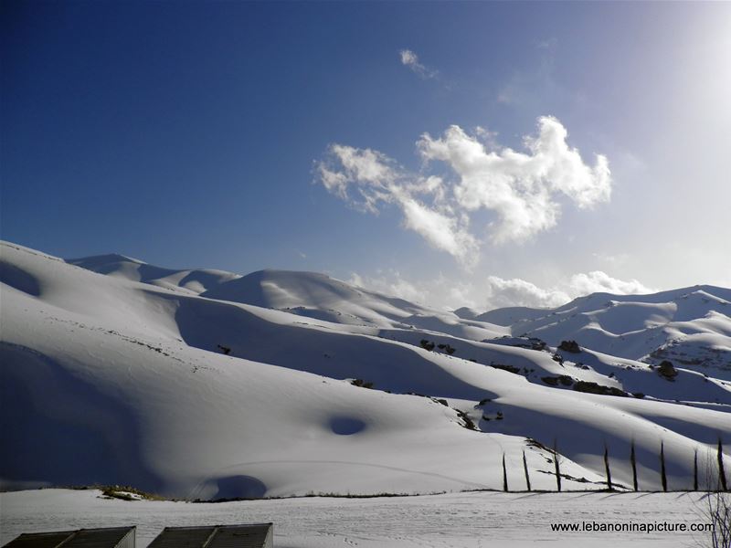 Oyoun el Siman and Refuge Piste (Winter 2011)