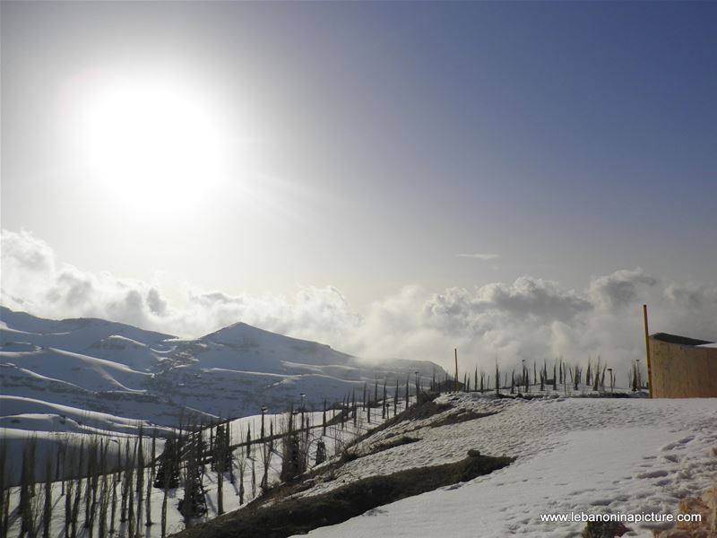 Oyoun el Siman and Refuge Piste (Winter 2011)
