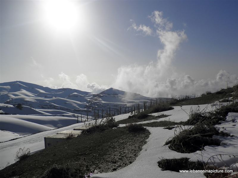 Oyoun el Siman and Refuge Piste (Winter 2011)