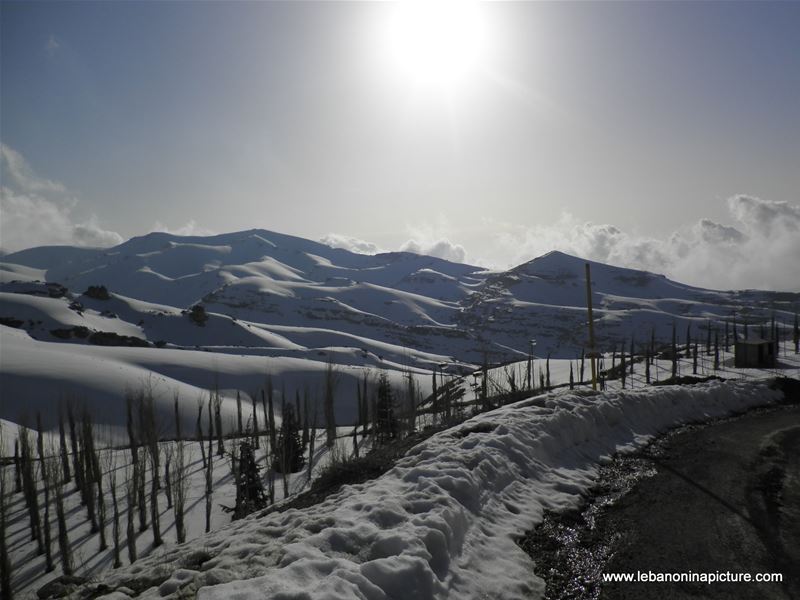 Oyoun el Siman and Refuge Piste (Winter 2011)
