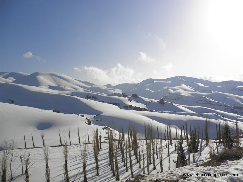 Oyoun el Siman and Refuge Piste (Winter 2011)