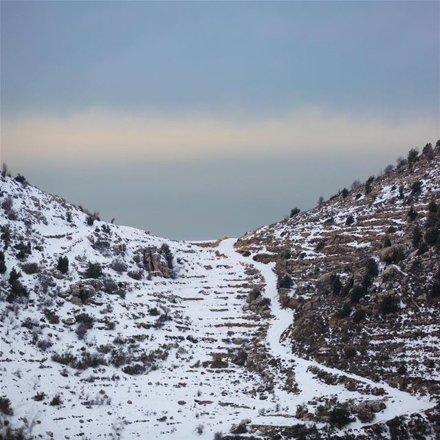 Pack your bags and meet me in the mountains; the world below has poisoned... (Douma, Liban-Nord, Lebanon)