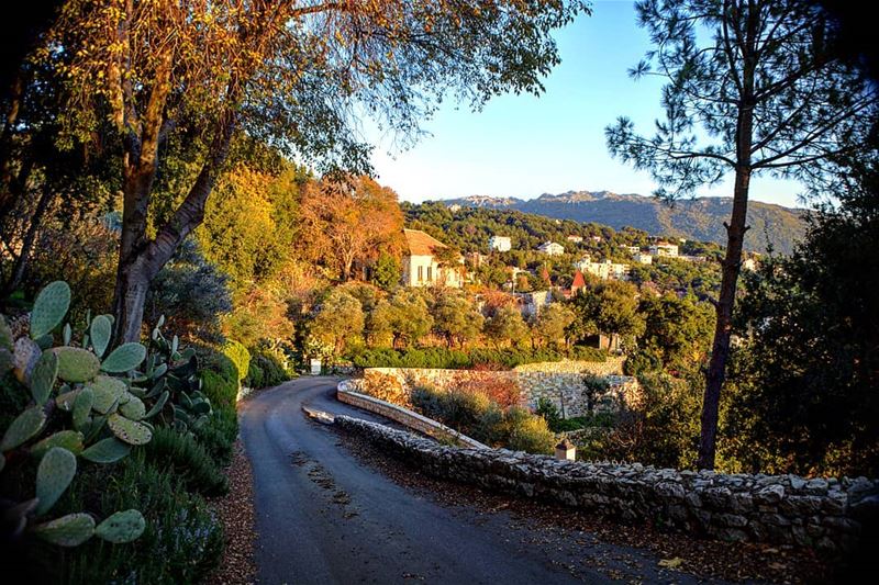 Paint me! 🍂🍁🍃 naturephotography  greenery  natureza  autumn🍁 ... (El Kfour, Mont-Liban, Lebanon)