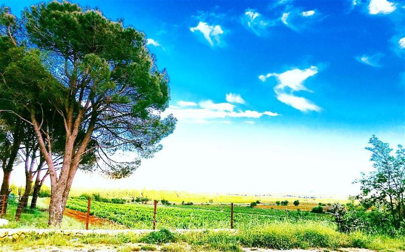 painting and coloring 🍀 lebanonbeauty lebanoninstagram  lebanonlovers ... (West Bekaa)