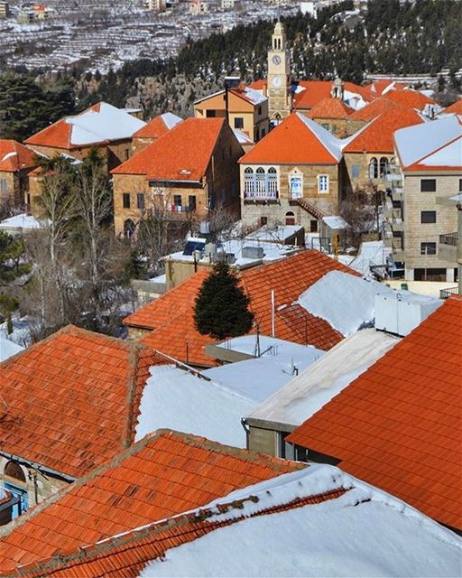 Paisagem de inverno no vilarejo de Hasroun, fotografado por @slhclt 🇱🇧... (Hasroun)