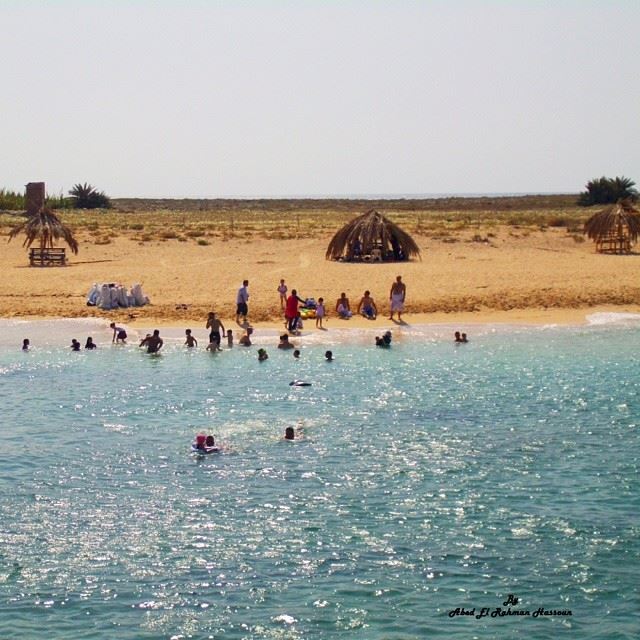 Palm island....Tripoli! island  nature  TripoliLB  instaTripoli ...