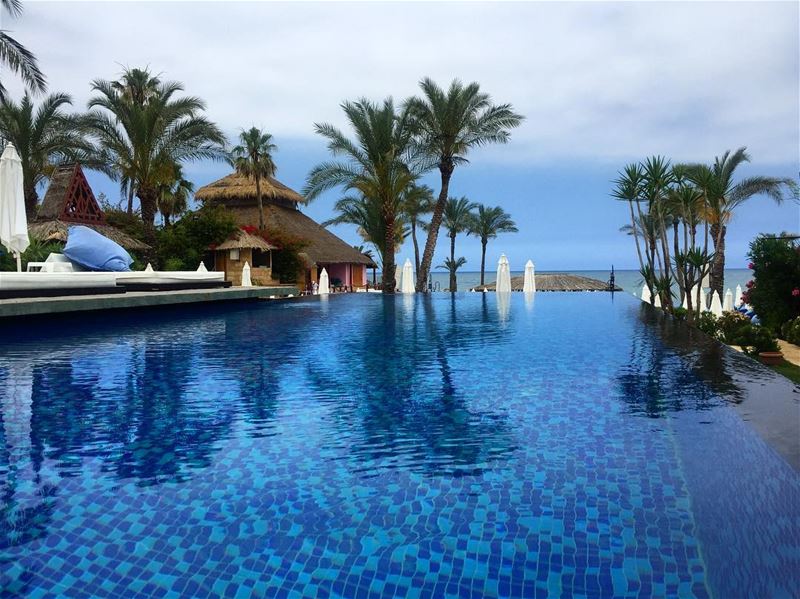 Palm trees 🌴sea breeze, salty air & sun kissed hair ☀️  a7labaladbil3alam... (Janna Sur Mer)