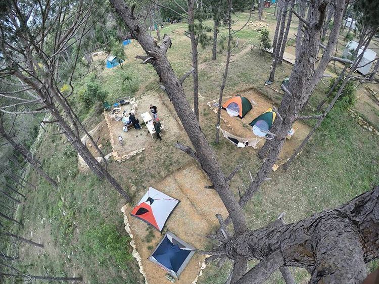 Panoramic view from the top of the  tree  lecamp  deirelharef  mountain ...