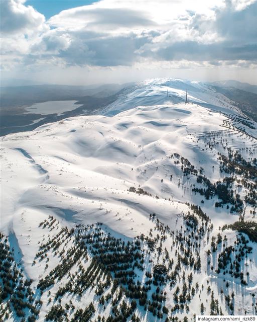 Para-Para Paradise 🎵... shouf  chouf  shoufreserve   bekaa  westbekaa... (Al Shouf Cedar Nature Reserve)