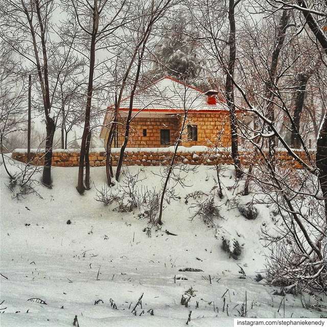 Paradise doesn't have to be tropical🌨☃🎄🌬☈... (El Laklouk, Mont-Liban, Lebanon)