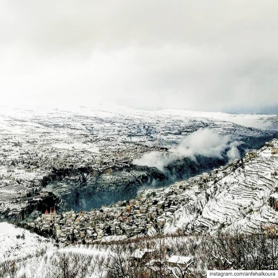 Paradise ❤️ lebanon  cedarsofgod winterinlebanon livelovelebanon ... (Lebanon)