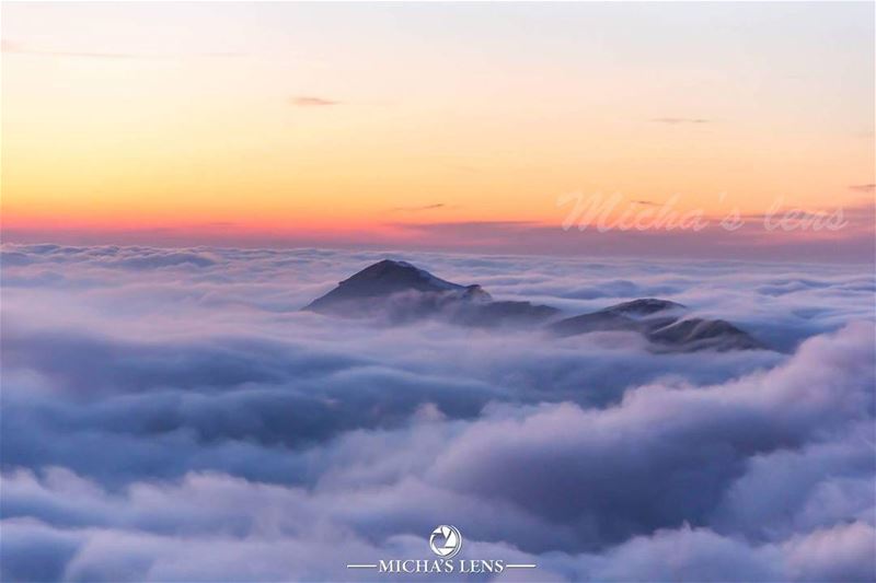 Paradisiac island  lebanonbylocal  discover961  lebanon  thebestinlebanon ...