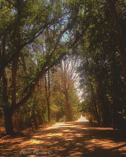 ~ Parfois on rencontre des gens et on sent comme si ça fait très longtemps... (Deïr Taanâyel, Béqaa, Lebanon)