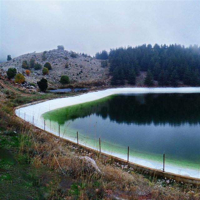 Part 3/3 : "Heart" shaped Pond shoufbiospherereserve  baroukcedarforest ... (Barouk Cedar Forest)