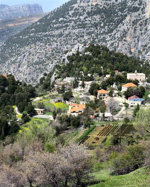 Parte da vila histórica de Tannourine vista de cima. Localizada no norte... (Tannourine)