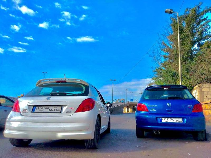 Partners of crime  psl  pride  parking  passion  peugeot  blue  white ...