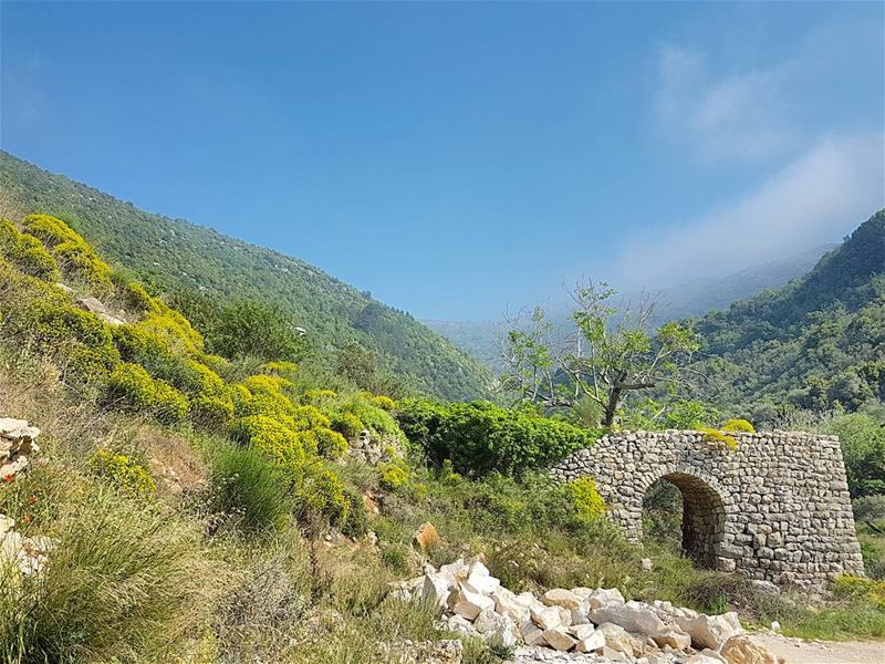 Passing through the arch. ... (Mount Lebanon)