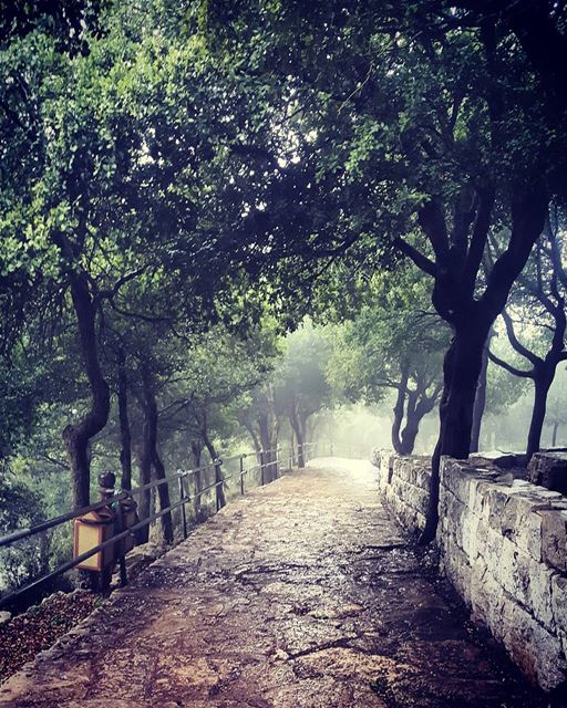 Path of faith...  stcharbel  worship  faith  beautifulscenery ... (Annaya - Saint Charbel.)