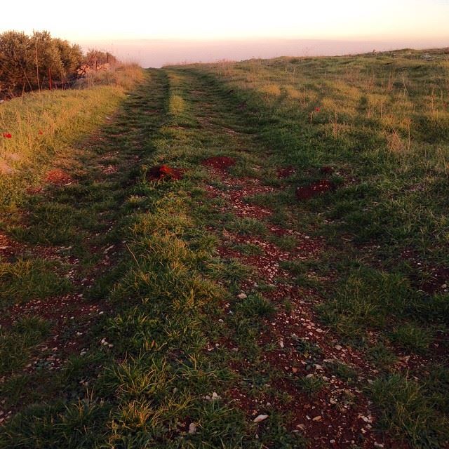 Pathway to Palestine... Soon simplyaroun