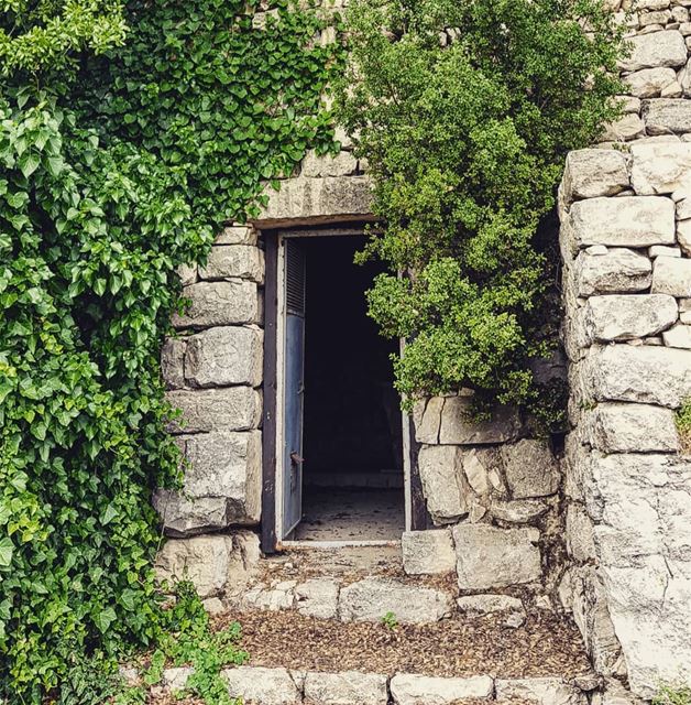 "Patience is more than simply learning to wait. It is having learned what... (Bchaalé, Liban-Nord, Lebanon)