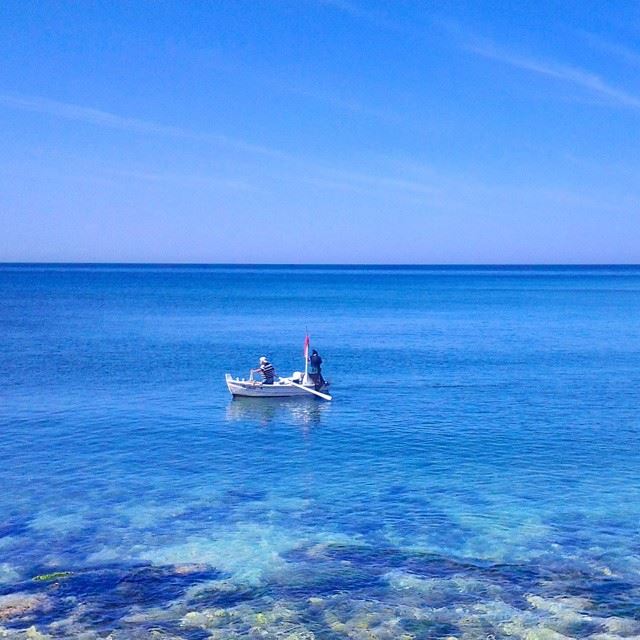 Patience is the key....  TripoliLB  Tripoli  ElMina  North_Lebanon ...