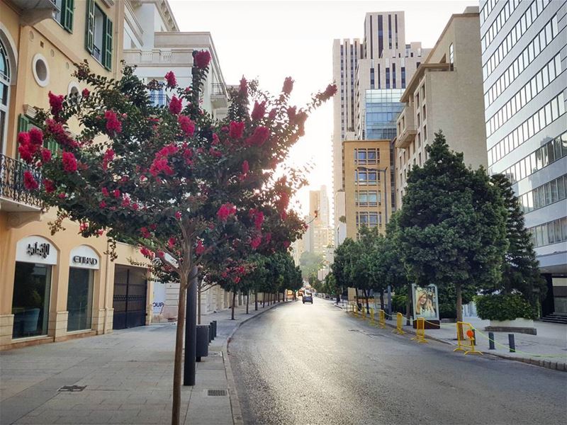 Pause and breathe deeply..Restart your Monday with much gratitude &... (Beirut, Lebanon)