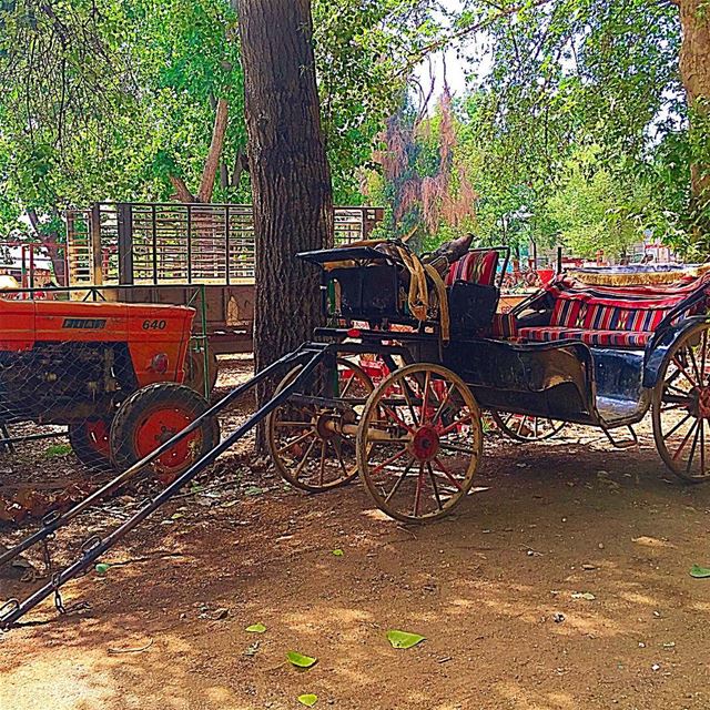 ⏸PAUSE  takeiteasy  carriage  countryside  green  serene  lebanon  rural ... (Bekaa valley)