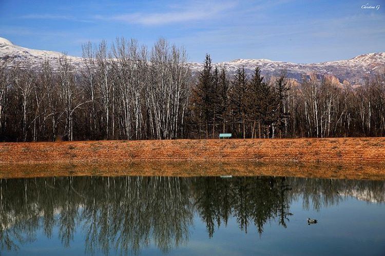 Peace is always beautiful 🍂  a7labaladbil3alam  photo  love  reflections ... (Taanayel Lake)