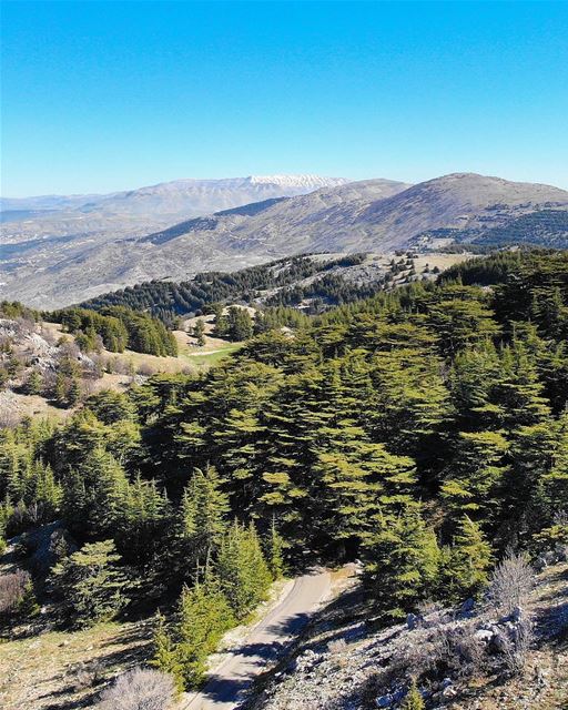 • Peace is Always Beautiful • 🧚🏻‍♀️ luna_drone  drone  mavicair ... (Al Shouf Cedar Nature Reserve)