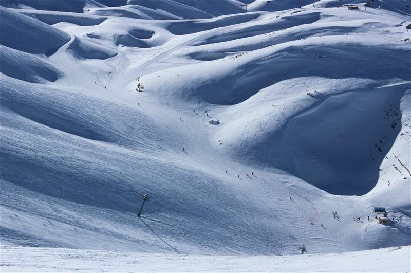 Peace 🇱🇧 lebanon  beautiful  white  wonderful  ski  snow  nature ... (Lebanon)
