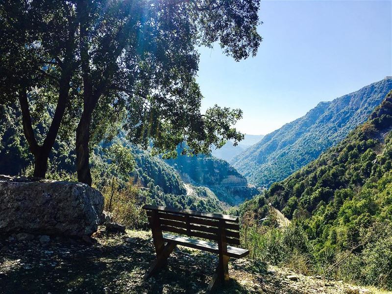 Peace of nature.   insta_lebanon  ig_lebanon  park  hiking ... (Wadi il Salib, Kfardebian)