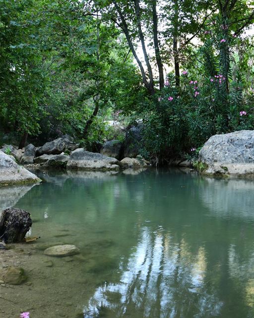  peace 📍wadi al akhdar maydaneh plain- southlebanon ........